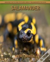 Salamander