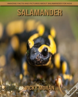 Capa do artigo Salamander