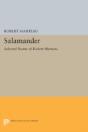 Salamander - Preview