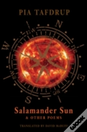 Capa do artigo Salamander Sun And Other Poems
