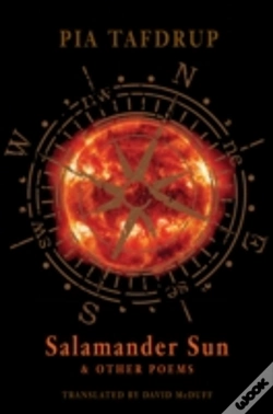 Capa do artigo Salamander Sun And Other Poems