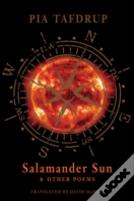 Salamander Sun And Other Poems