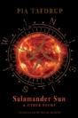 Salamander Sun And Other Poems - Preview
