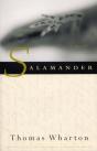 Salamander - Preview