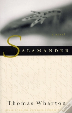 Capa do artigo Salamander