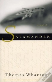 Capa do artigo Salamander