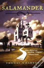 Capa do artigo Salamander