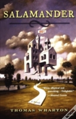 Capa do artigo Salamander