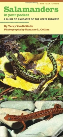 Capa do artigo Salamanders In Your Pocket