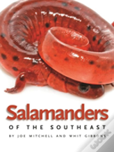 Salamanders Of The Southeast