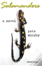 Capa do artigo Salamanders