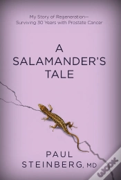 Capa do artigo Salamander