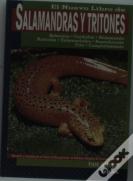 Salamandras Y Tritones