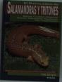 Salamandras Y Tritones - Preview