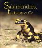 Salamandres, Tritons & Cie - Preview
