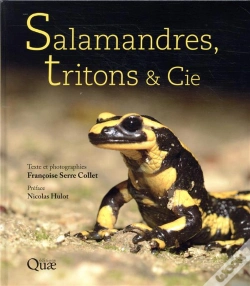 Capa do artigo Salamandres, Tritons & Cie