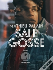 Capa do artigo Sale Gosse