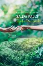 Salem Falls - Preview