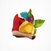 Capa do artigo SALES LP - Vinil
