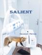 Salient - Preview