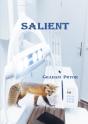 Salient - Preview