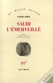 Capa do artigo Salih L