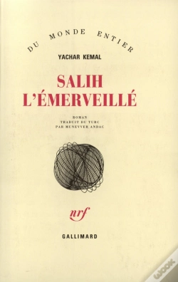 Capa do artigo Salih L'Emerveille