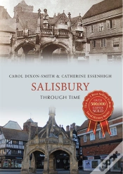 Capa do artigo Salisbury Through Time