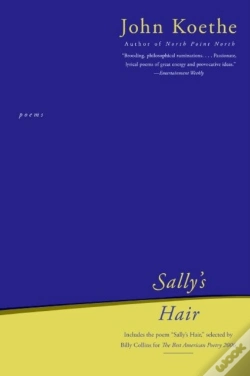Capa do artigo Sally'S Hair