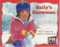Sally'S Snowman - Preview