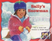 Capa do artigo Sally