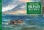 Salmon Favourite Irish Recipes - Preview