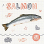 Salmon - Preview