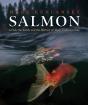 Salmon - Preview