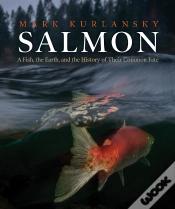 Capa do artigo Salmon