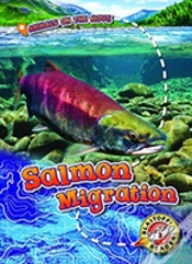 Capa do artigo Salmon Migration
