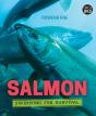 Salmon - Preview