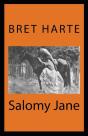 Salomy Jane( Illustrated Edition) - Preview
