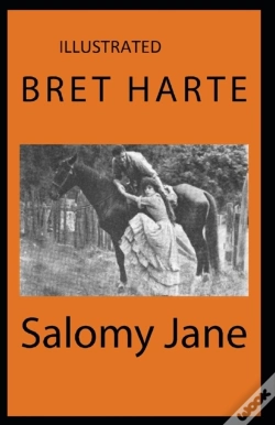 Capa do artigo Salomy Jane Illustrated