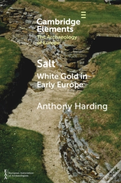 Capa do artigo Salt