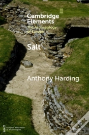 Capa do artigo Salt