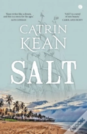 Capa do artigo Salt
