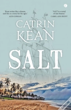 Capa do artigo Salt