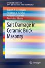 Salt Damage In Ceramic Brick Masonry - Preview