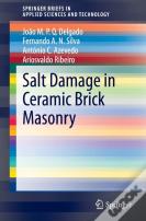 Salt Damage In Ceramic Brick Masonry