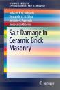 Salt Damage In Ceramic Brick Masonry - Preview