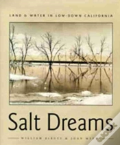 Capa do artigo Salt Dreams
