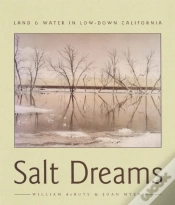 Capa do artigo Salt Dreams