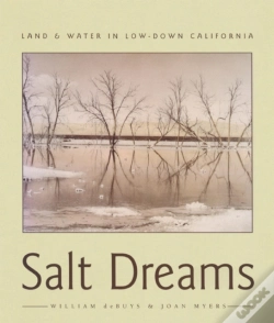 Capa do artigo Salt Dreams