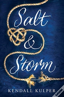 Capa do artigo Salt & Storm